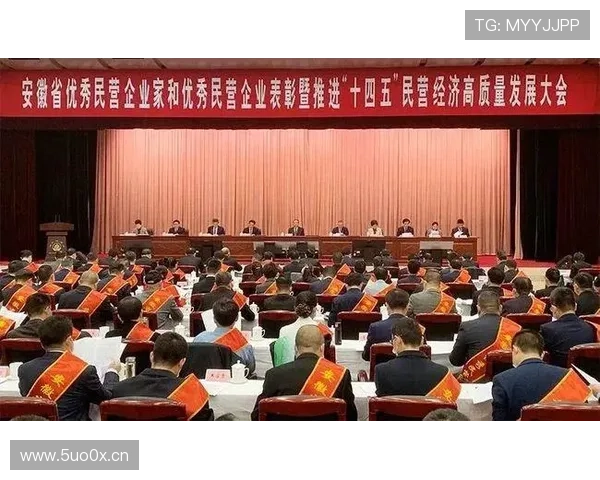 安徽籍企业家奋力拼搏 助力地方经济发展与产业升级的成功故事